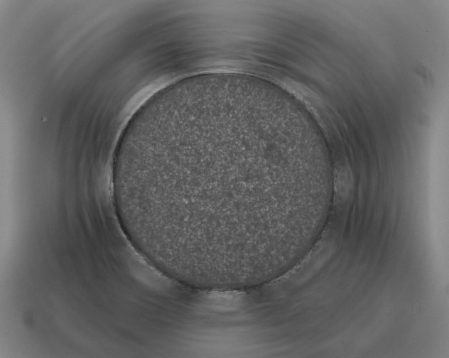 X0000115081466200911101452