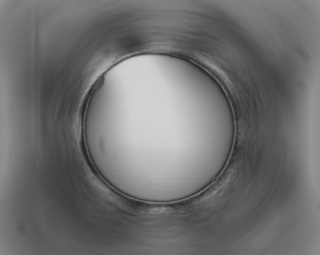X0000115081467200911101452