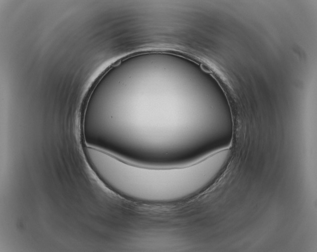 X0000115081468200911101452