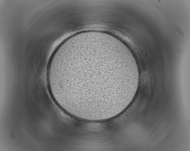 X0000115081470200911101452