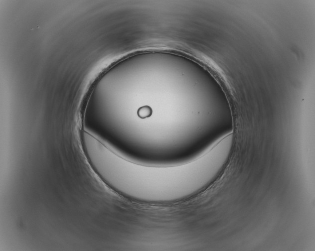 X0000115081472200911101452