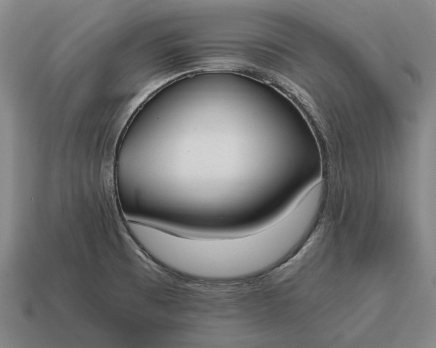 X0000115081473200911101452