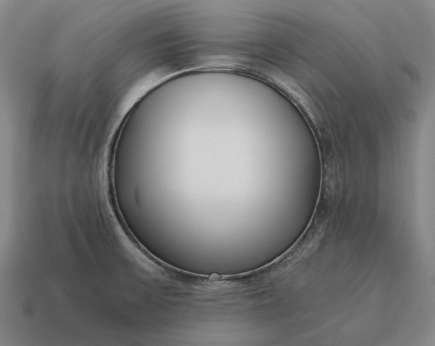 X0000115081475200911101452