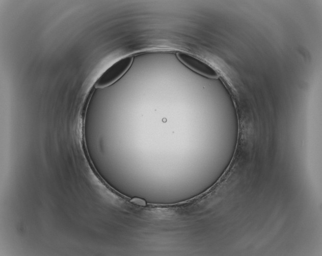 X0000115081476200911101452