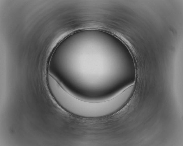 X0000115081477200911101452