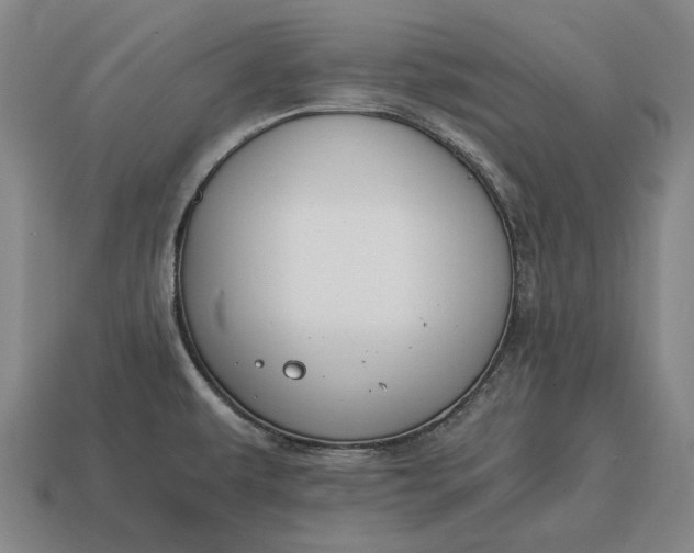 X0000115081479200911101452
