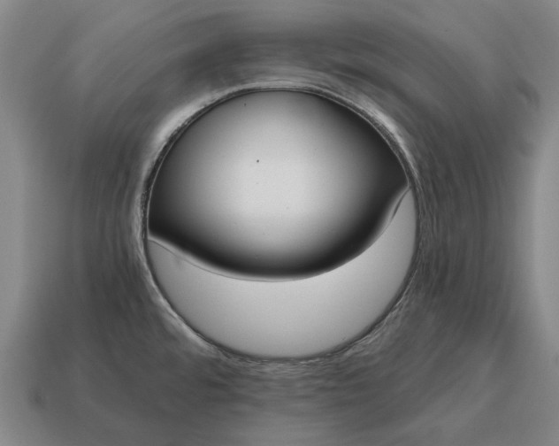 X0000115081480200911101452