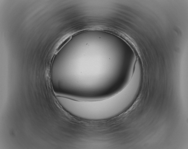 X0000115081481200911101452
