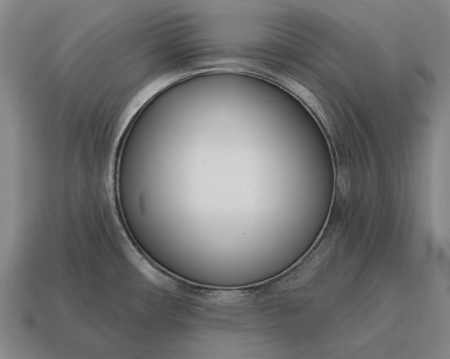 X0000115081482200911101452