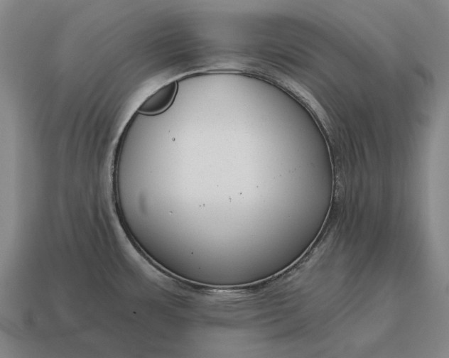 X0000115081483200911101452