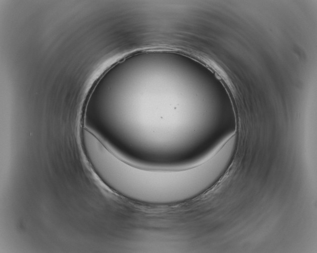 X0000115081485200911101452