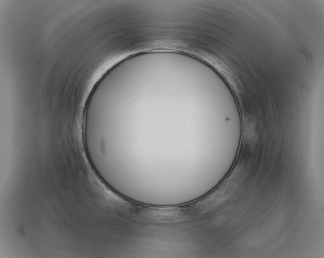 X0000115081486200911101452