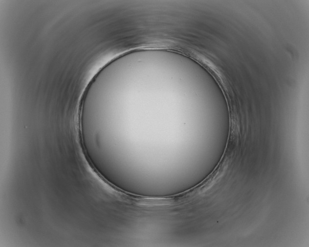 X0000115081487200911101452