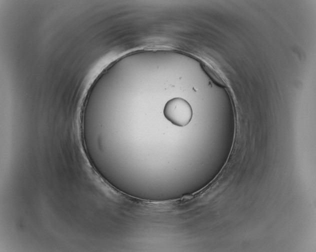 X0000115081488200911101452