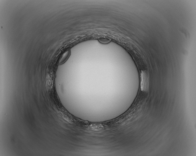 X0000115081491200911101451