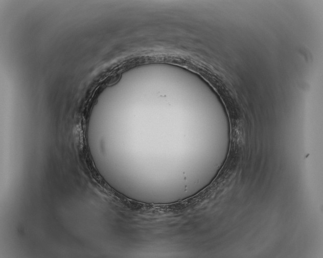 X0000115081493200911101451