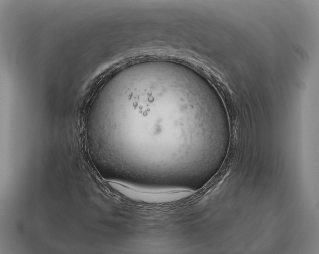 X0000115081494200911101451