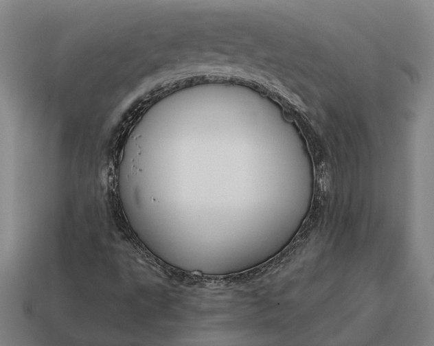 X0000115081495200911101451