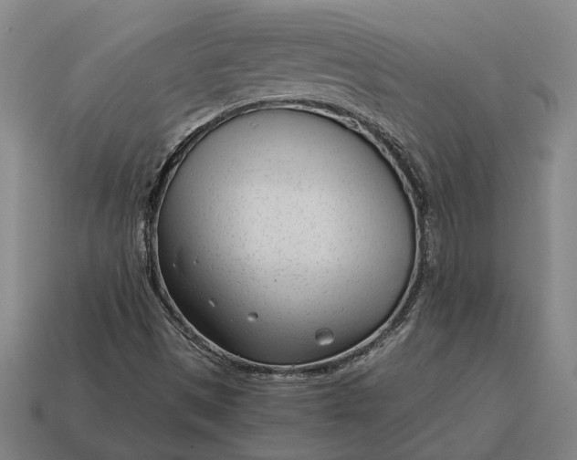X0000115081497200911101451
