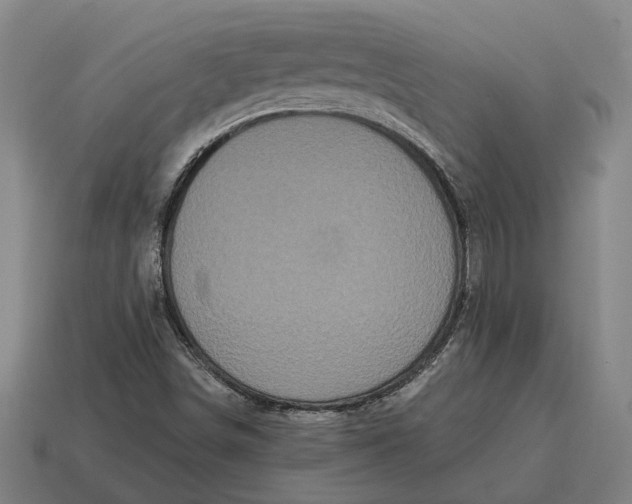 X0000115081498200911101451