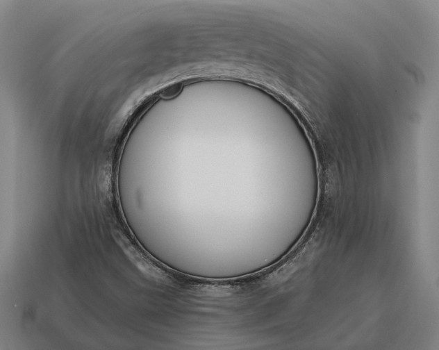 X0000115081499200911101451