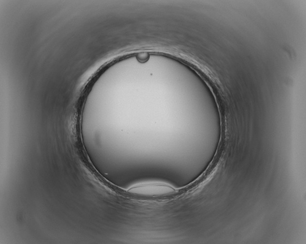 X0000115081502200911101451