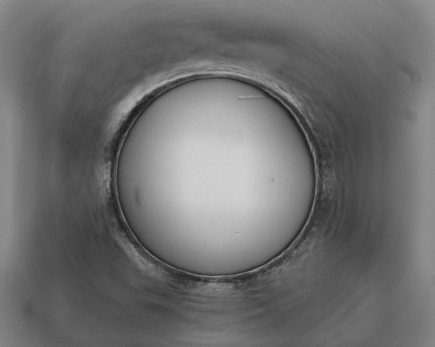 X0000115081503200911101451
