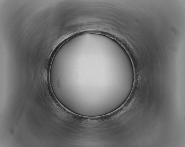X0000115081505200911101451