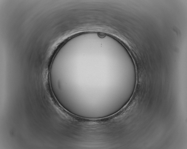 X0000115081507200911101451