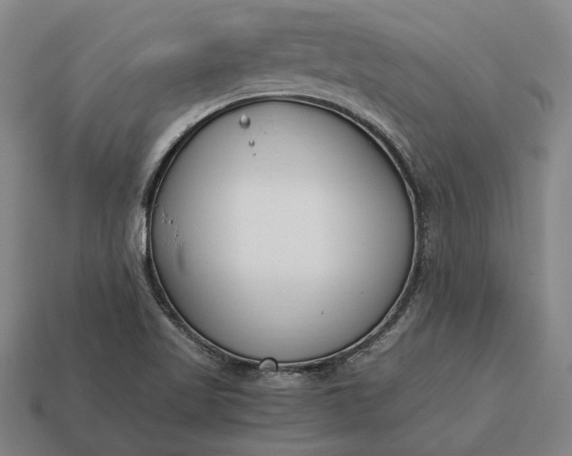 X0000115081509200911101451