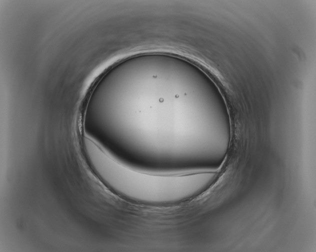 X0000115081510200911101451