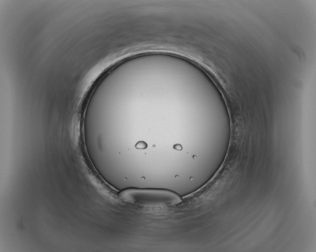 X0000115081511200911101451