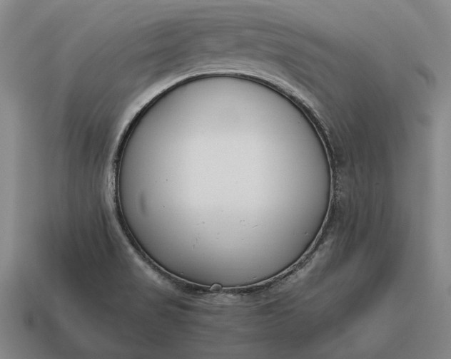 X0000115081517200911101451