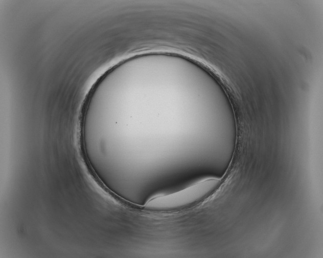 X0000115081518200911101452