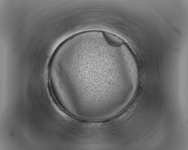 X0000115081519200911101452