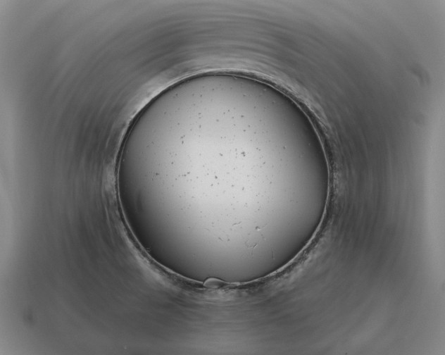 X0000115081521200911101452