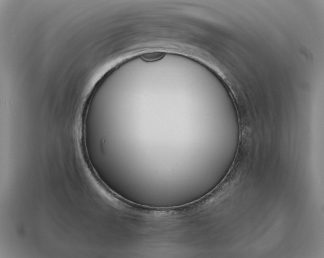 X0000115081523200911101452
