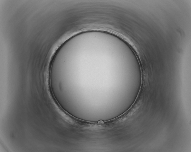 X0000115081525200911101452