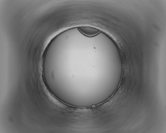 X0000115081526200911101452