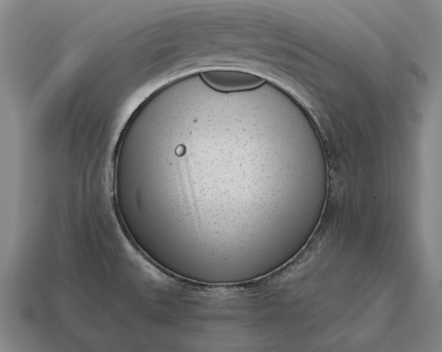 X0000115081527200911101452