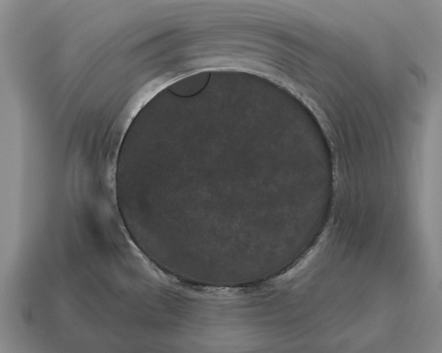 X0000115081529200911101452