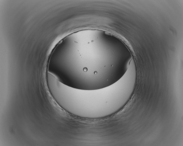 X0000115081530200911101452