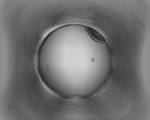 X0000115081531200911101452