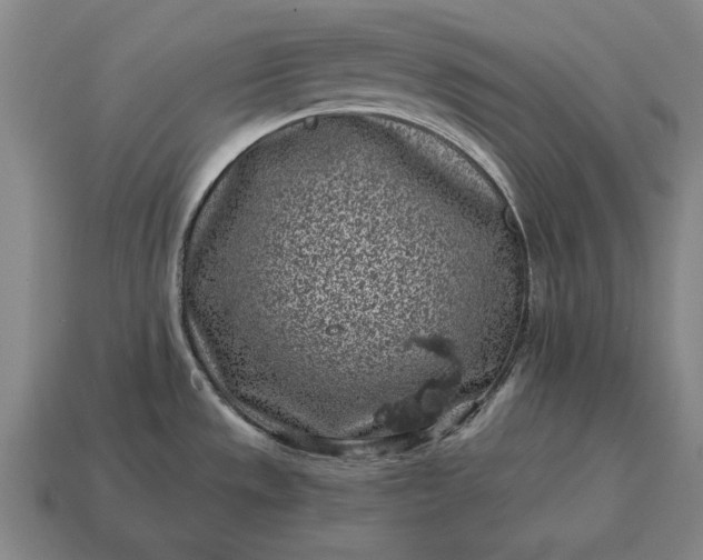 X0000115081533200911101452