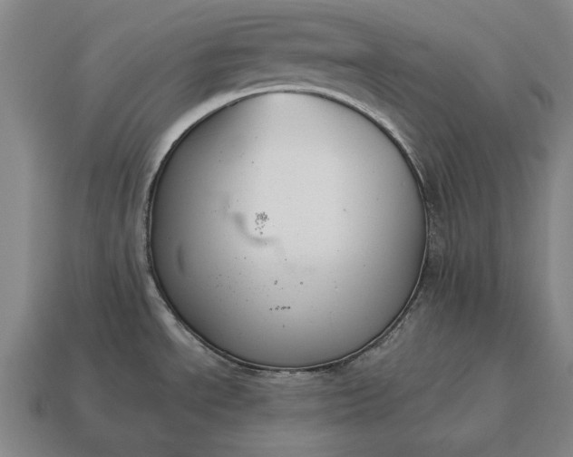 X0000115081534200911101452