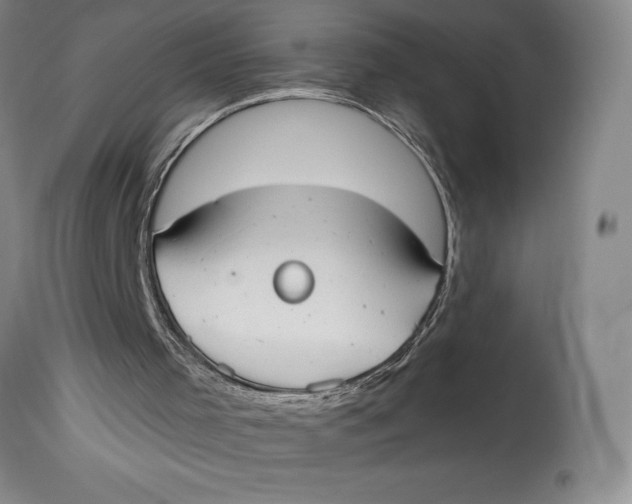 X0000115080001200911171205
