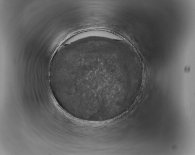 X0000115080002200911171205
