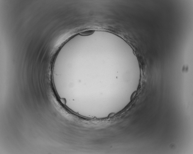 X0000115080005200911171205