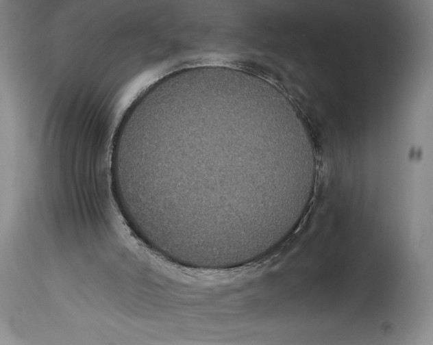X0000115080006200911171205