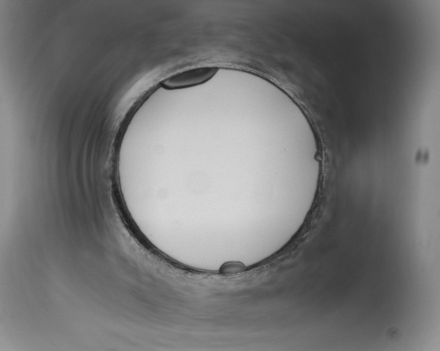 X0000115080007200911171205